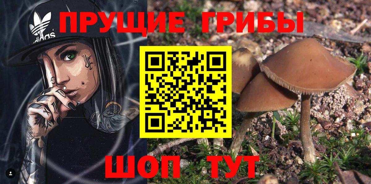 Галлюциногенные грибы Magic Shrooms Краснодар