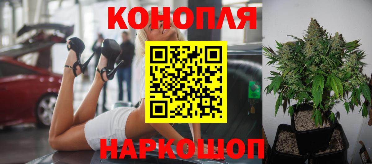 Бошки Шишки OG Kush  Марихуана VHQ  Краснодар  Вход с VPN  Марихуана индика  Бошки Шишки марихуана 